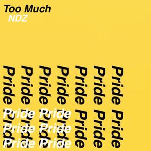 Too Much (Explicit)