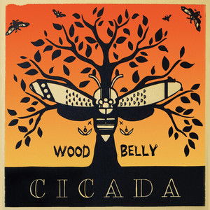 Cicada