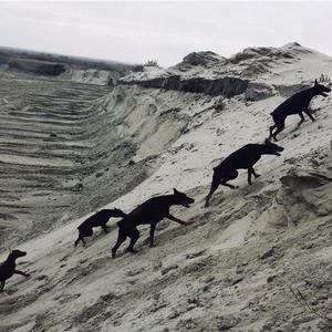 DIPOUTTADASPOT 1.5 *TEST* (Explicit)