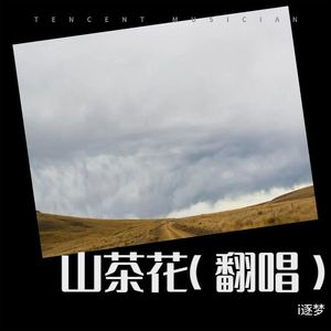 山茶花封面