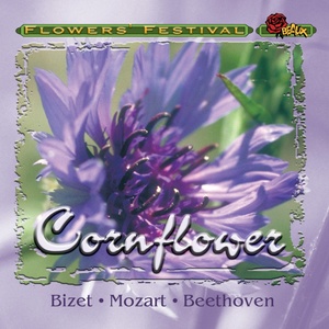 Flute Concerto No.1 in G major, K. 313 I. Allegro maestoso
