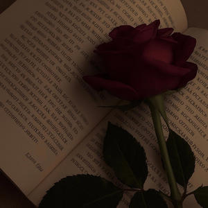 Your Memory (Explicit)