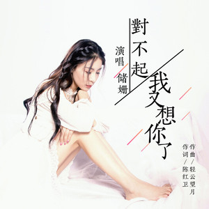 对不起我又想你了