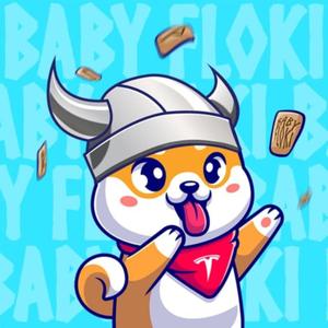 BabyFloki Anthem(feat. Brie Robinson) (Hiphop Remix)