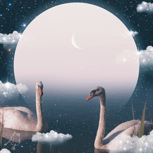 The Pond People