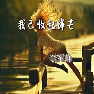 我已收起锋芒 (伴奏)