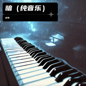 暗 (纯音乐)