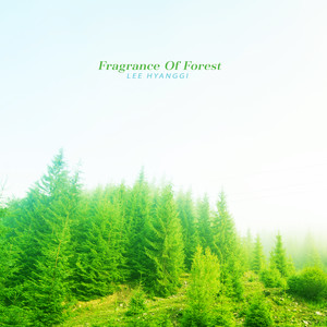 Fragrance Of Forest