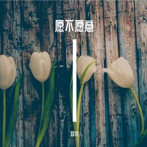 愿不愿意 (伴奏)