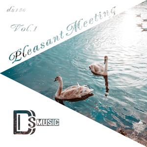 Pleasant Meeting, Vol. 1