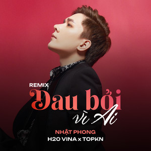 Đau Bởi Vì Ai (Remix)