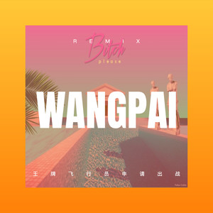 妹妹你是我的人 (DJ版)