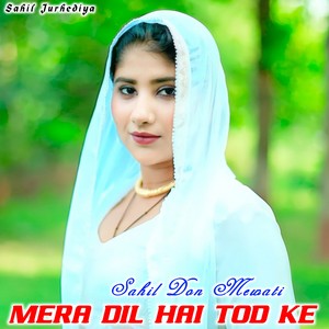 MERA DIL HAI TOD KE