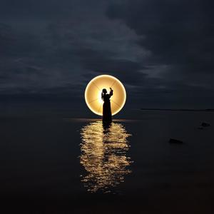 Through the Arctic Night