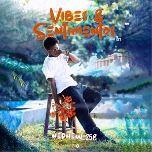 Vibes & Sentimentos, Pt. 01