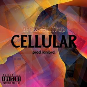 Cellular (feat. GrownBoiTrap) (Explicit)