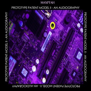 Prototype Patient Model II - An Audiography