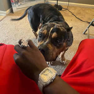 Dead Beat (Explicit)