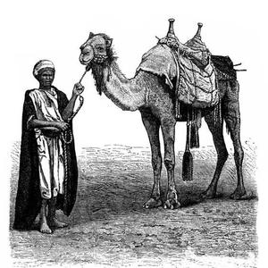 Mystical Trials (Explicit)