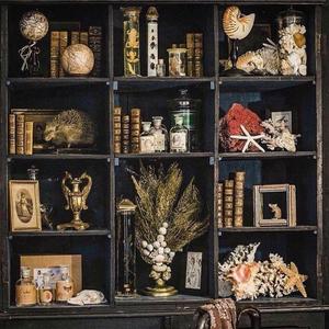 Cabinet Of Curiosities (Explicit)