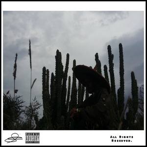 Who Are You!??(Interlude)