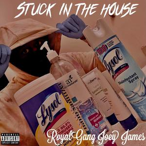 Stuck In The House (Explicit)