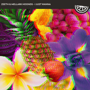 I Just Wanna (Extended Mix)