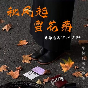 秋风过 雪花落 (伴奏)