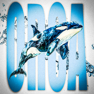 Orca (Explicit)