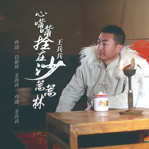 心嘴嘴拴在沙蒿蒿林