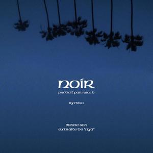 Noir (Explicit)