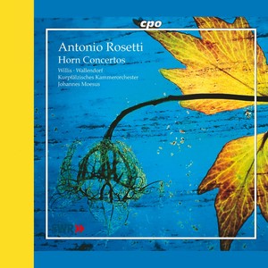 Horn Concerto in E Major, C50/III:44 - Horn Concerto in E Major, C50/III:44: I. Allegro