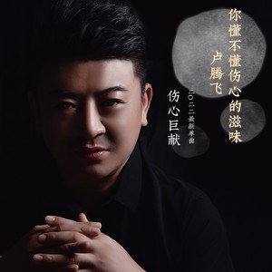 你懂不懂伤心的滋味 (伴奏)