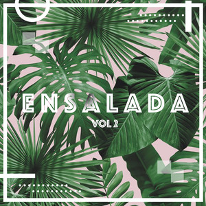 V.A Ensalada, Vol. 2