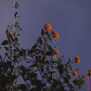 要不要和我处对象 (伴奏)