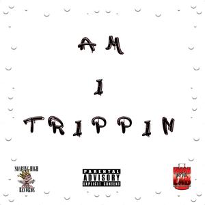 AM I TRIPPIN (feat. SILK) [Explicit]