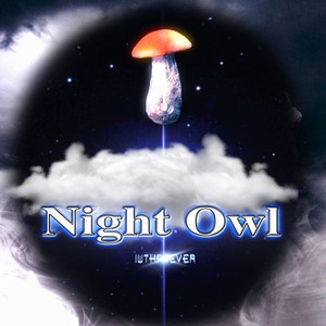 Imma Night Owl