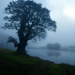 i just want to be alone