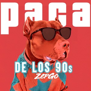 Paca de los 90s