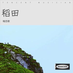 稻田