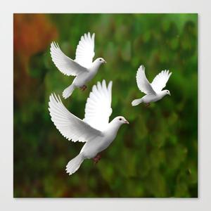 White Doves (feat. Lack Honey) (Explicit)