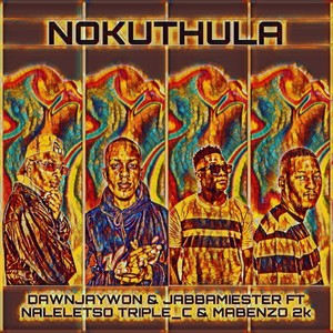 Nokuthula