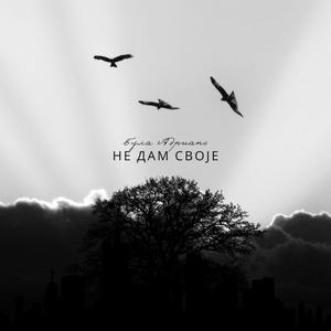Ne Dam Svoje