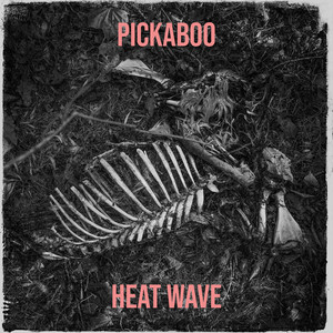 Pickaboo (Explicit)