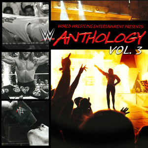 WWE: Anthology - Now!, Vol. 3