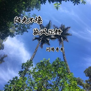 阳光不燥微风正好