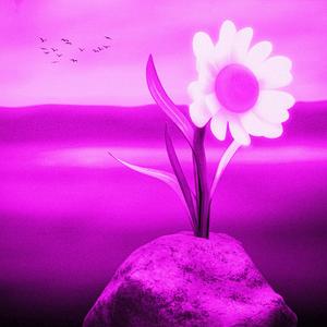 ដំណែងនៃបេះដូង | Where The Heart Lies (Speed Up)