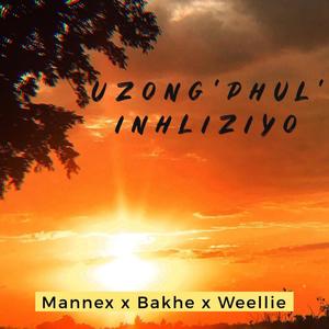 Uzong' phul' inhliziyo (feat. Bakhe & Weellie)