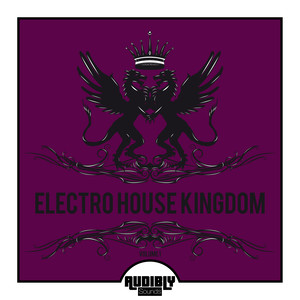 Electro House Kingdom, Vol. 1