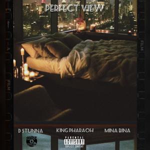 Perfect View (feat. King Pharaoh, Mina Bina & D Stunna)